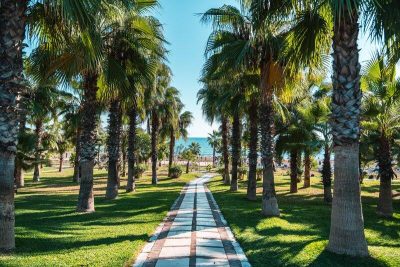 SURAL RESORT